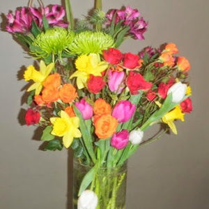 Meet your Posher, Andrea